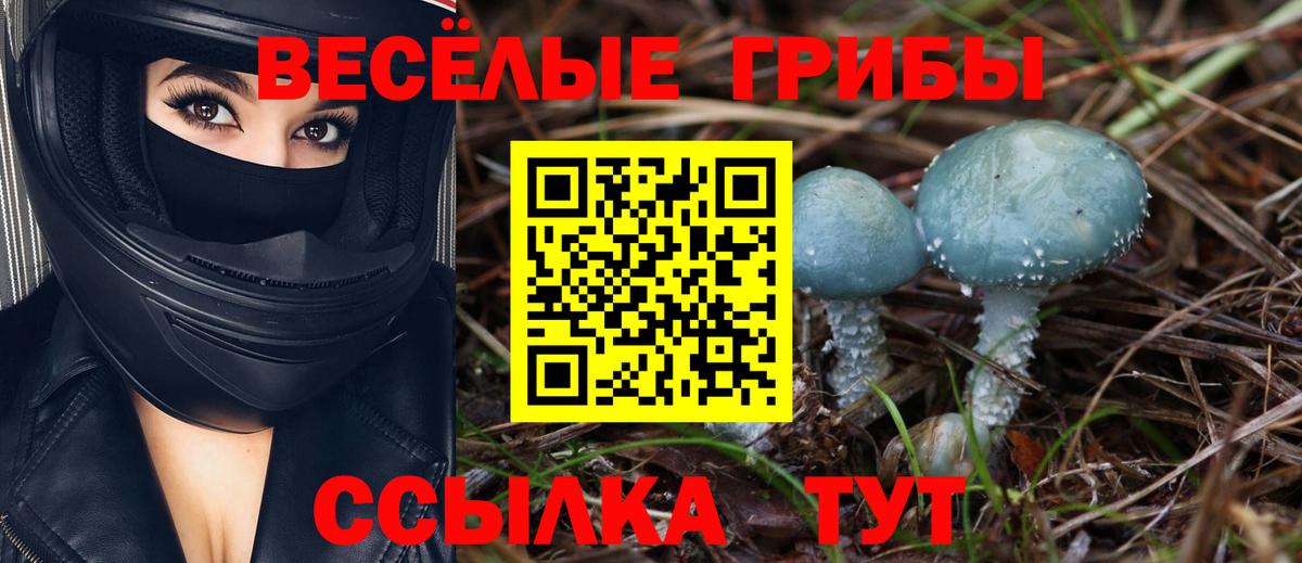 Чайковский  Галлюциногенные грибы прущие грибы  Псилоцибиновые грибы мухоморы  где можно купить   Вход с VPN 