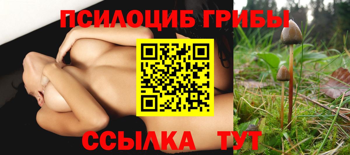 Псилоцибиновые грибы мухоморы Чайковский